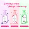 Lựa chọn mùi hương nước giặt đồ lót Tinee